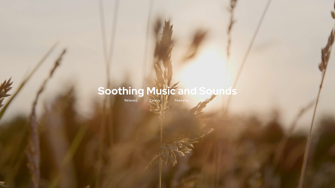 1 Hour Music for Meditation and Relaxation | Ambient, Peaceful #1hourmusic