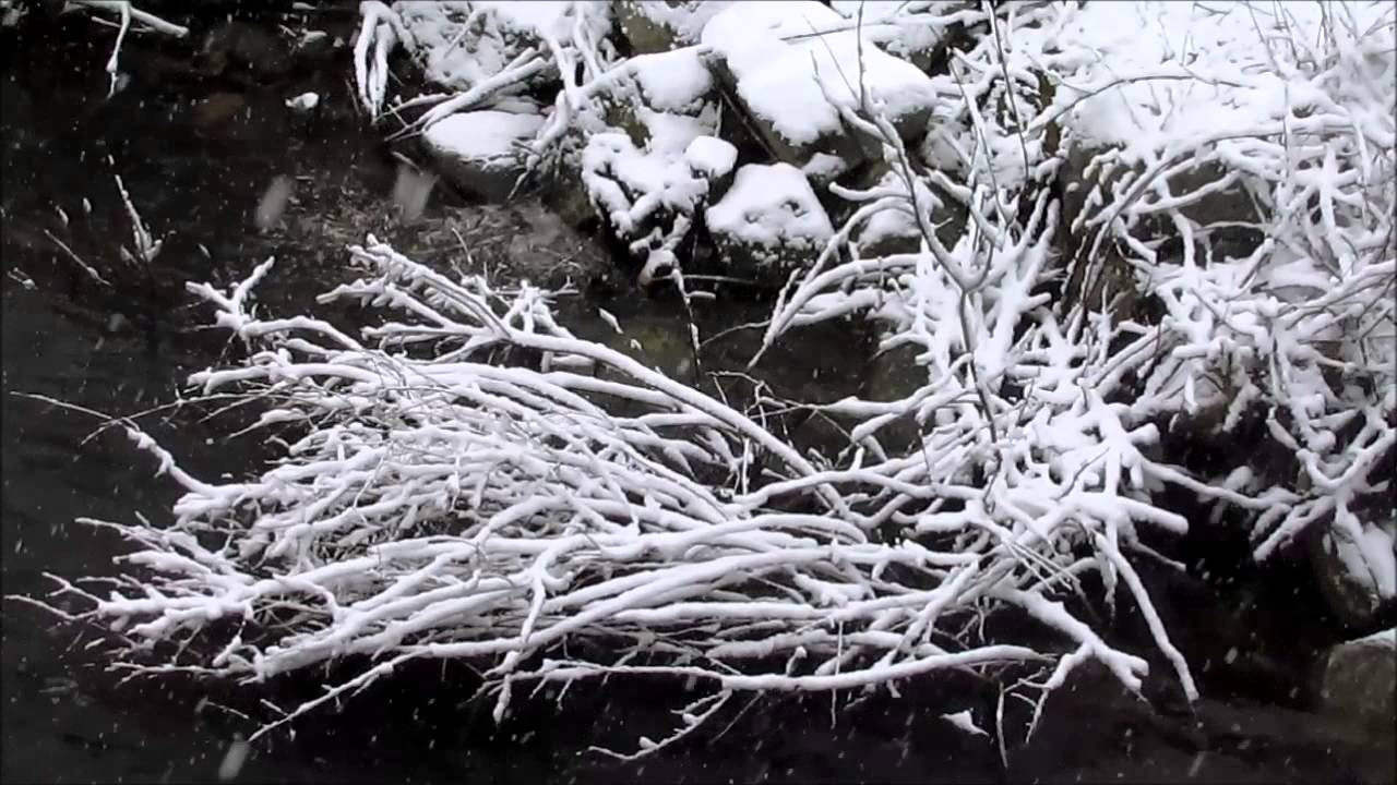 Snowy St  George River