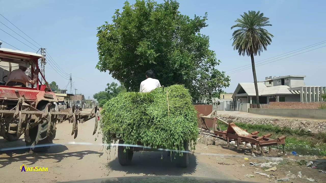 Rural Pakistan | Sooianwala To Amrao Tarar | القيادة في باكستان