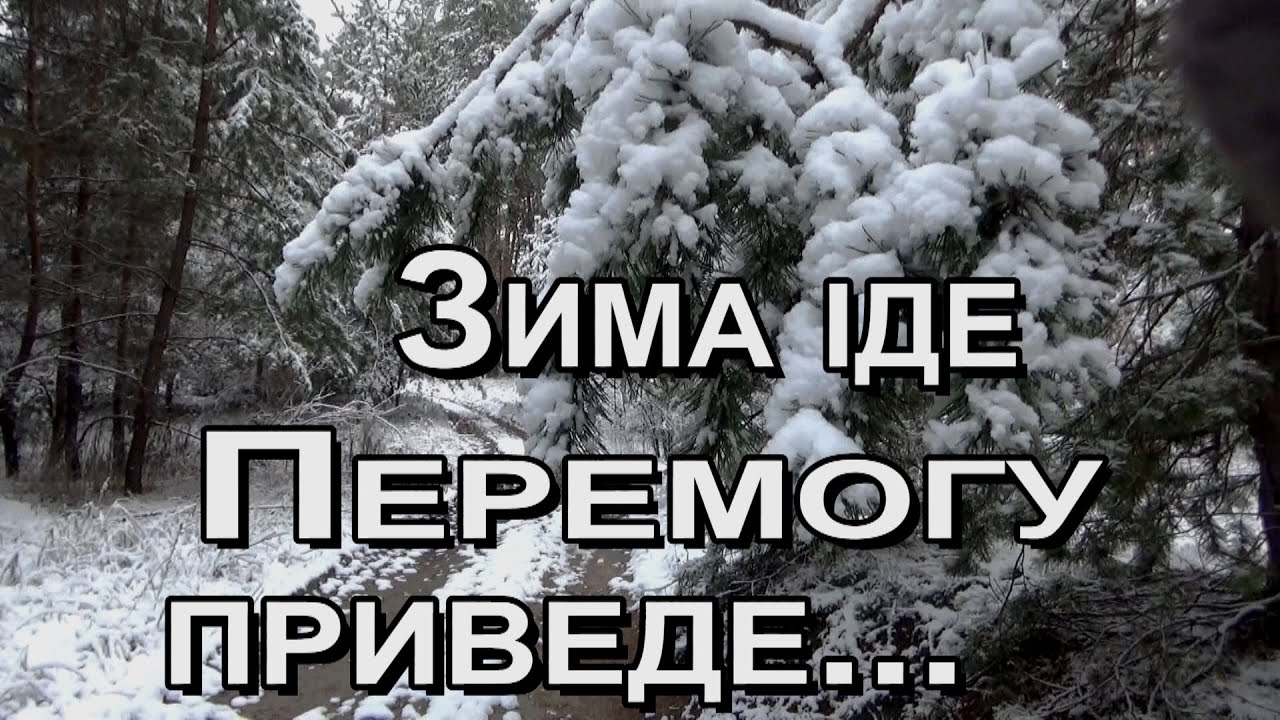 Ось що зробив перший Сніг в лісі...