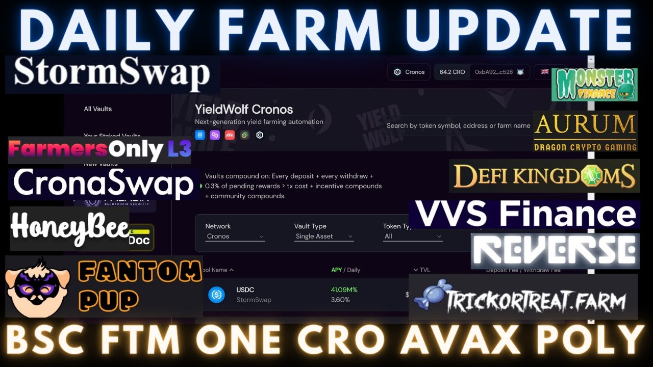 Daily Degen Farm Update | BSC - FTM - ONE - CRO - AVAX - POLY | New Farms, Vaults, and L3s