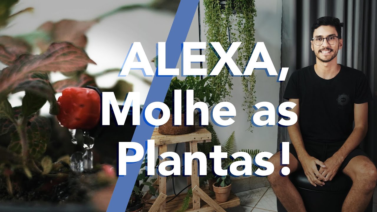 A ALEXA MOLHA MINHAS PLANTAS | Sistema de Irrigação Automático  no Estúdio!