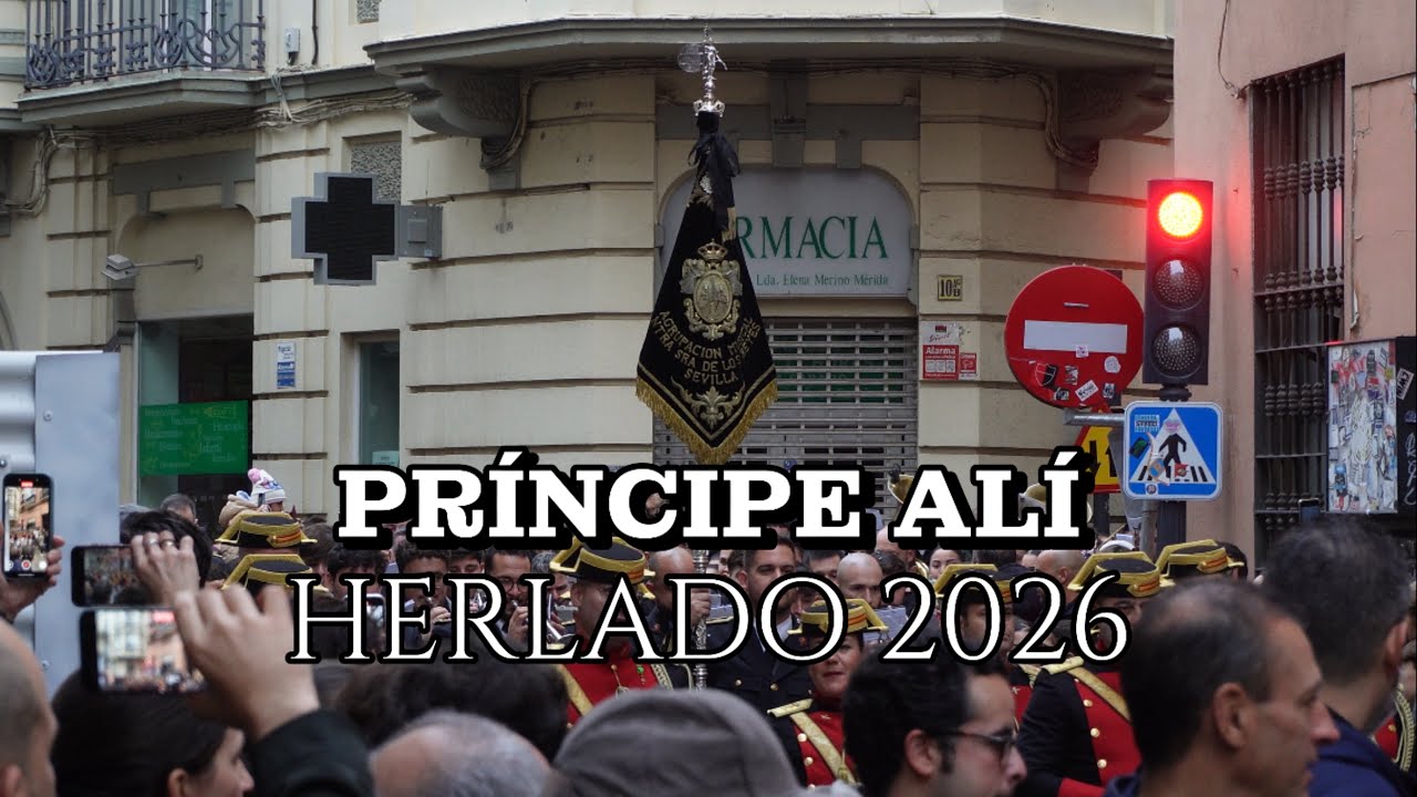 4K || PRÍNCIPE ALÍ | AM VIRGEN DE LOS REYES | HERALDO DE SEVILLA~2026