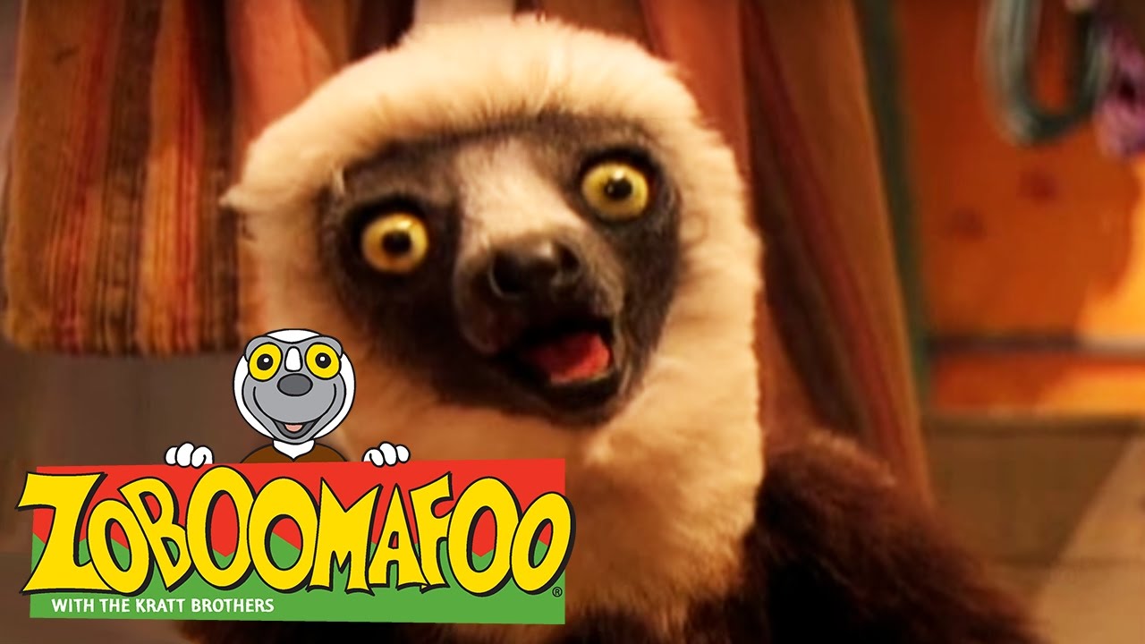 🐒 Zoboomafoo 🐒 Season 1 Episode 6-10 Full Episode Compilation | Kids TV Shows
