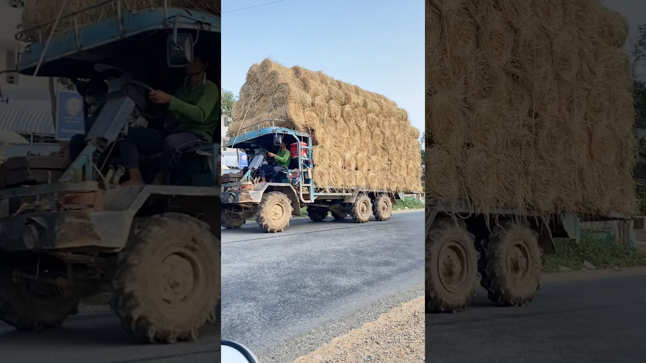 Трактор доставляет тяжелую солому.