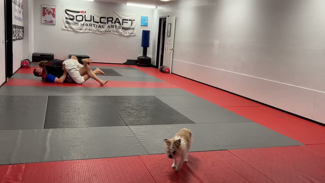 Scissorhands / Greg round 1