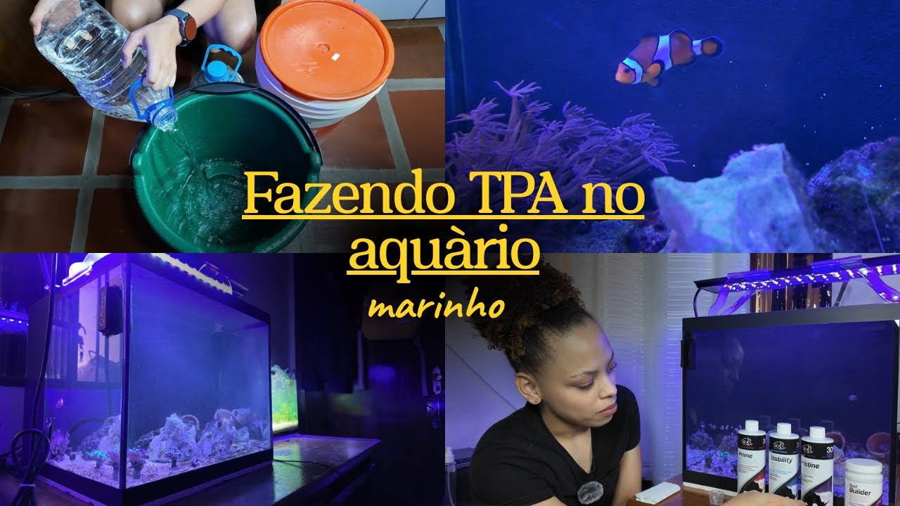TPA DO AQUÁRIO MARINHO 🌊💦🐠 | Olha o que aconteceu 😱!