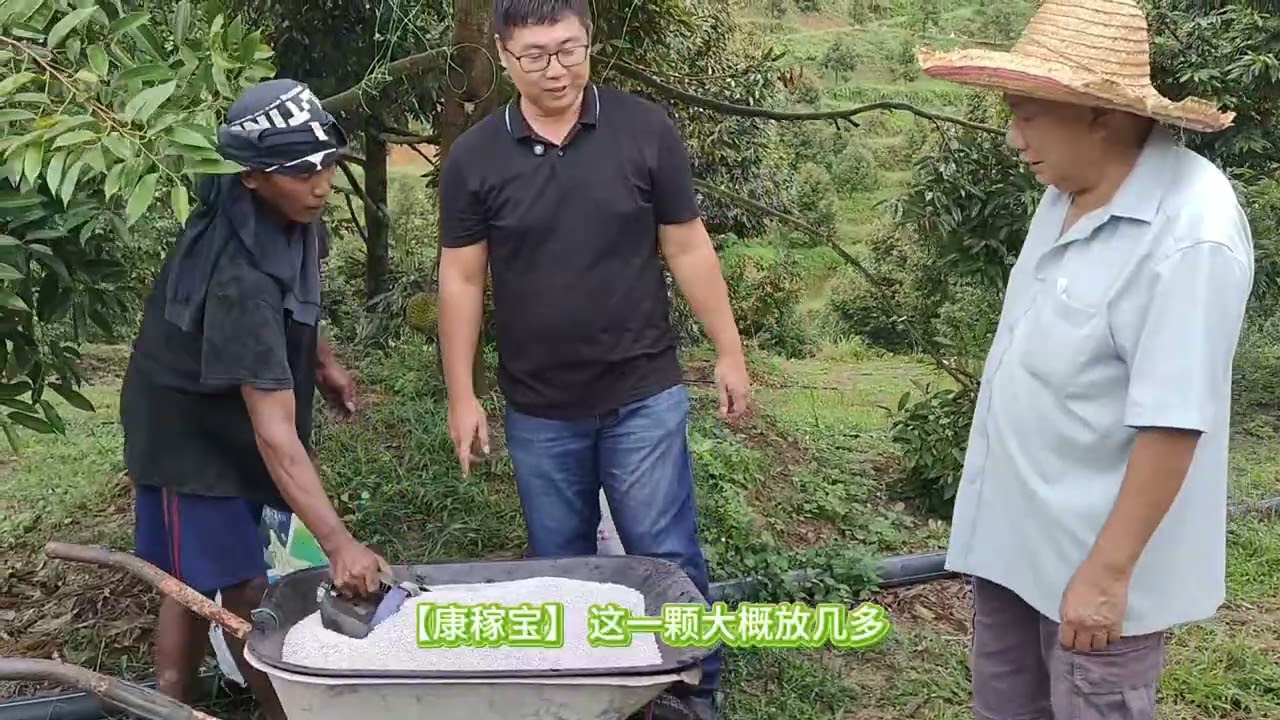蛤！5 年树龄的黑刺，能吃的吗？