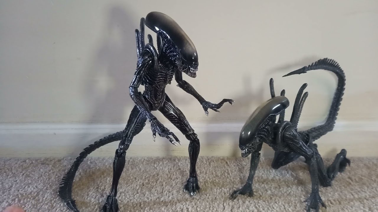 NECA Alien vs Predator (AVP) Alien Warrior - Real vs Fake