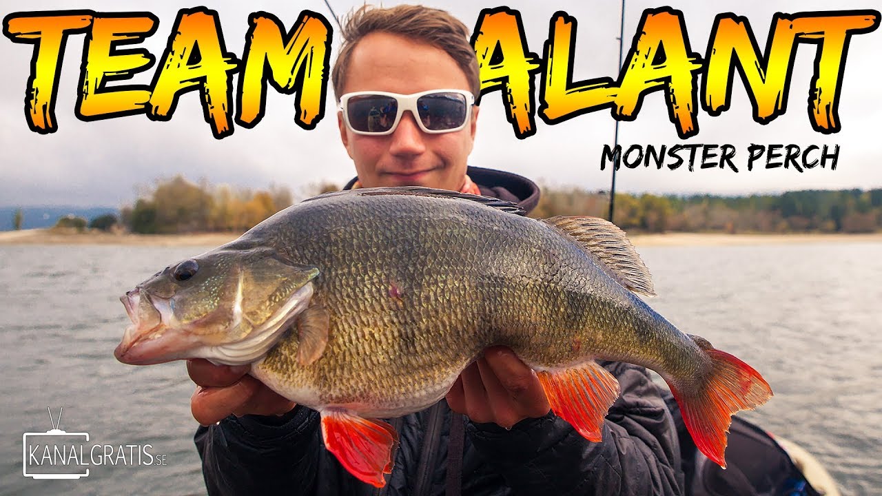 V&Auml;RLDENS B&Auml;STA ABBORRFISKE (Kajakfiske) | Team Galant