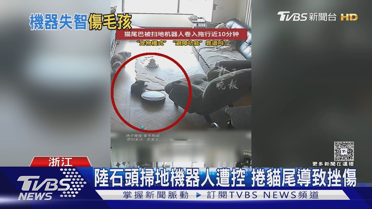 掃地機器人「吃貓尾」拖行10分鐘! 智慧避障失靈　非首例｜TVBS新聞 @TVBSNEWS01