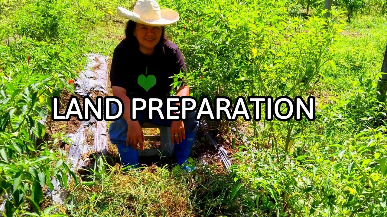 Land Preparation Secrets Only Experienced Organic Farmers Know!