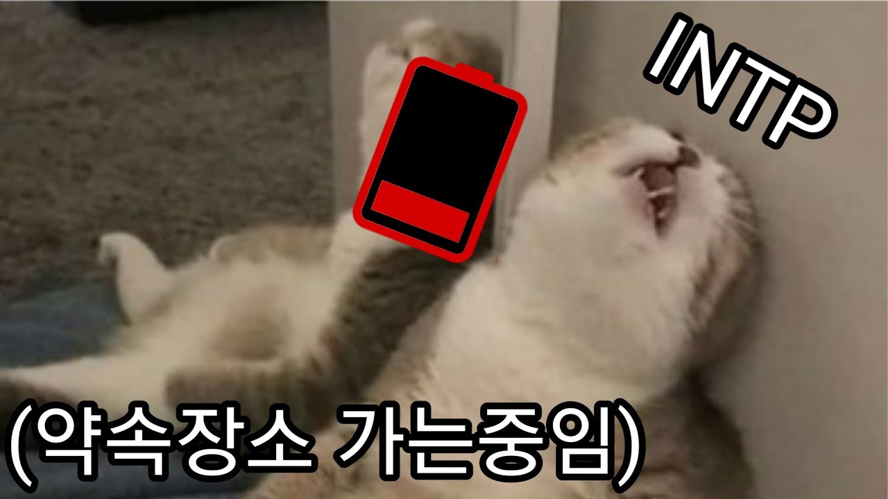 INTP 사용설명서 49. INTP의 에너지 소모 공식