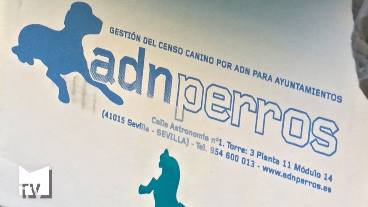 Se inician los análisis de ADN de las heces de perros en la vía pública