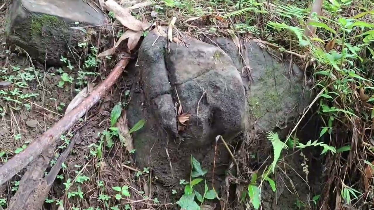 Mbolang kali ini Dapat Jekpot Suiseki Ekstrim