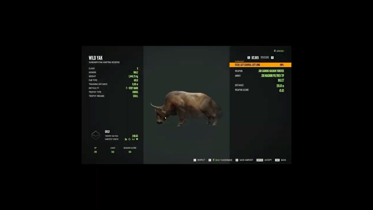 Rare Wild Yak The hunter call of the wild #thehuntercallofthewild