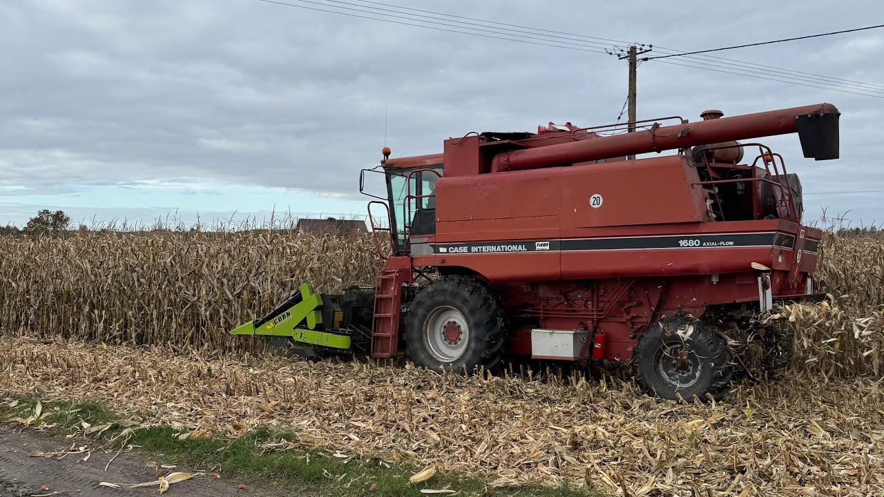 Od kukurydzy do siewu pszenicy! Krok po kroku 👌 