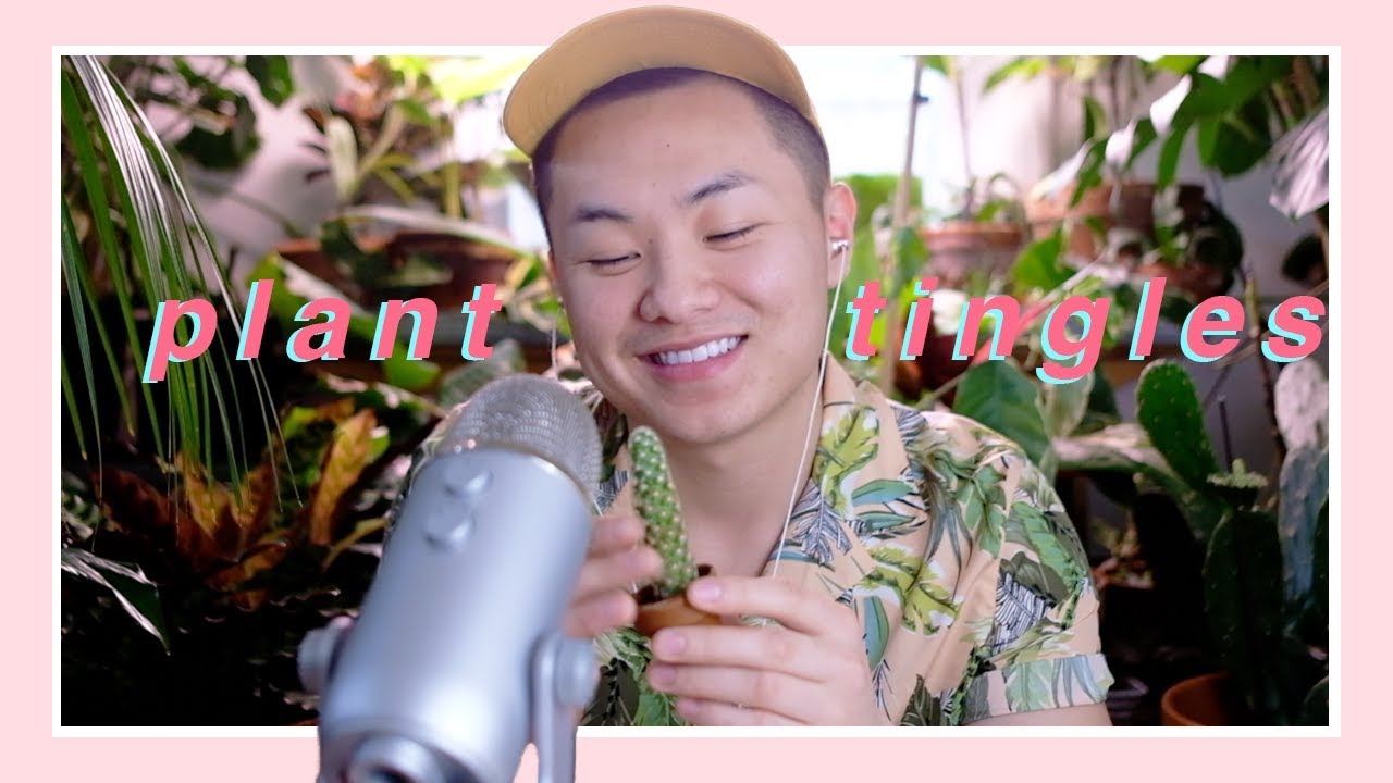 Plant & Cactus ASMR | My FIRST ASMR
