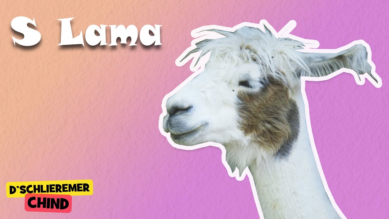 Schlieremer Chind - S Lama