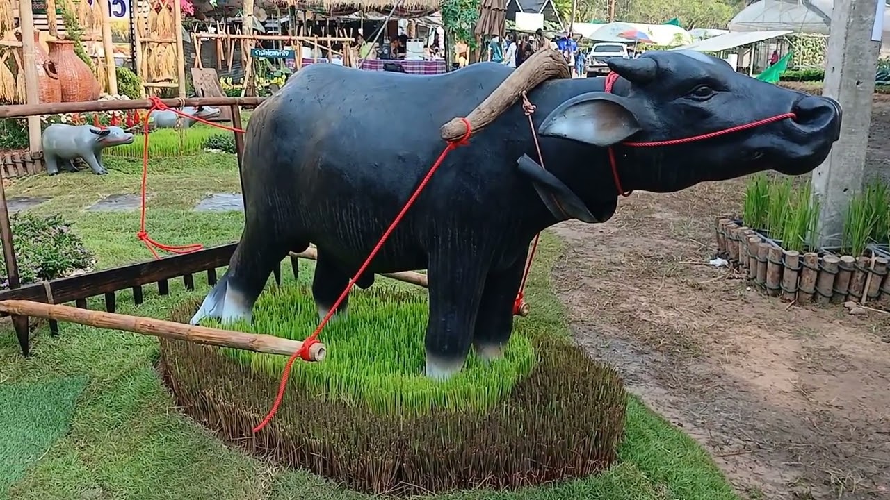เทคนิคการเข้าชมงานเกษตรอีสานใต้ของเรา