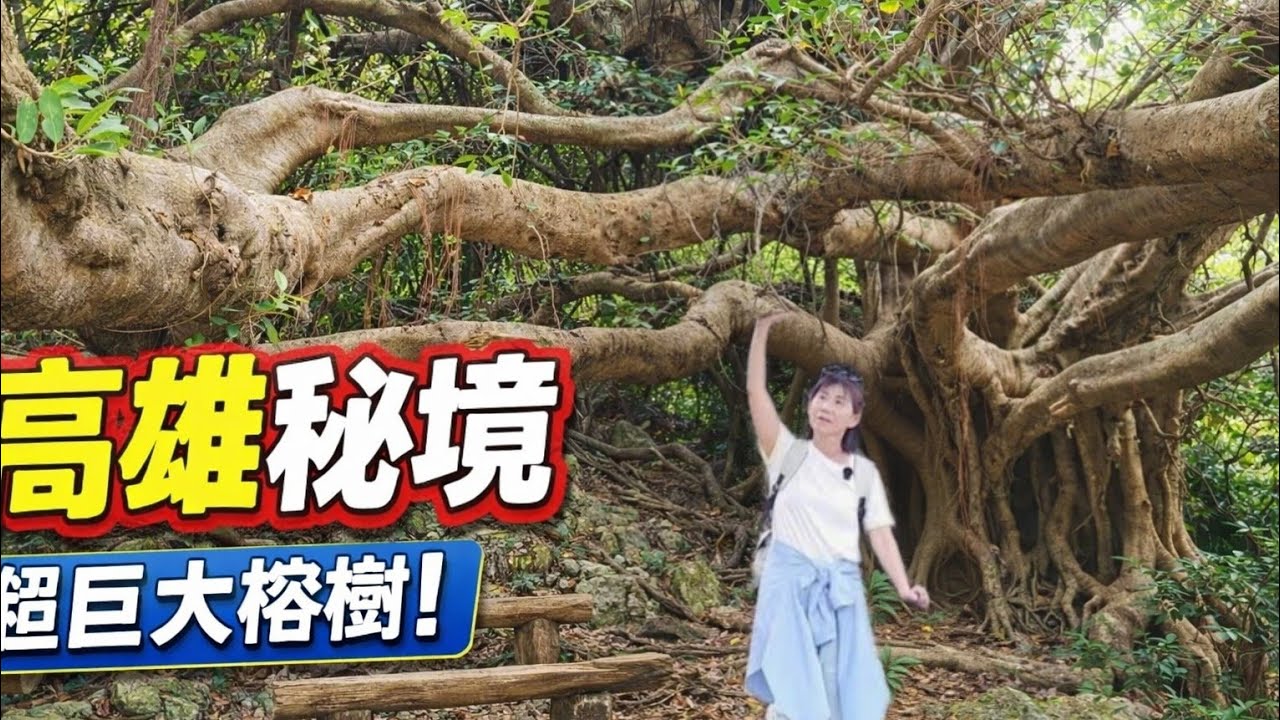 【高雄  柴山】爬一座最多猴子的小百岳|巧遇猴王做SPA|滿山都是神奇的榕樹