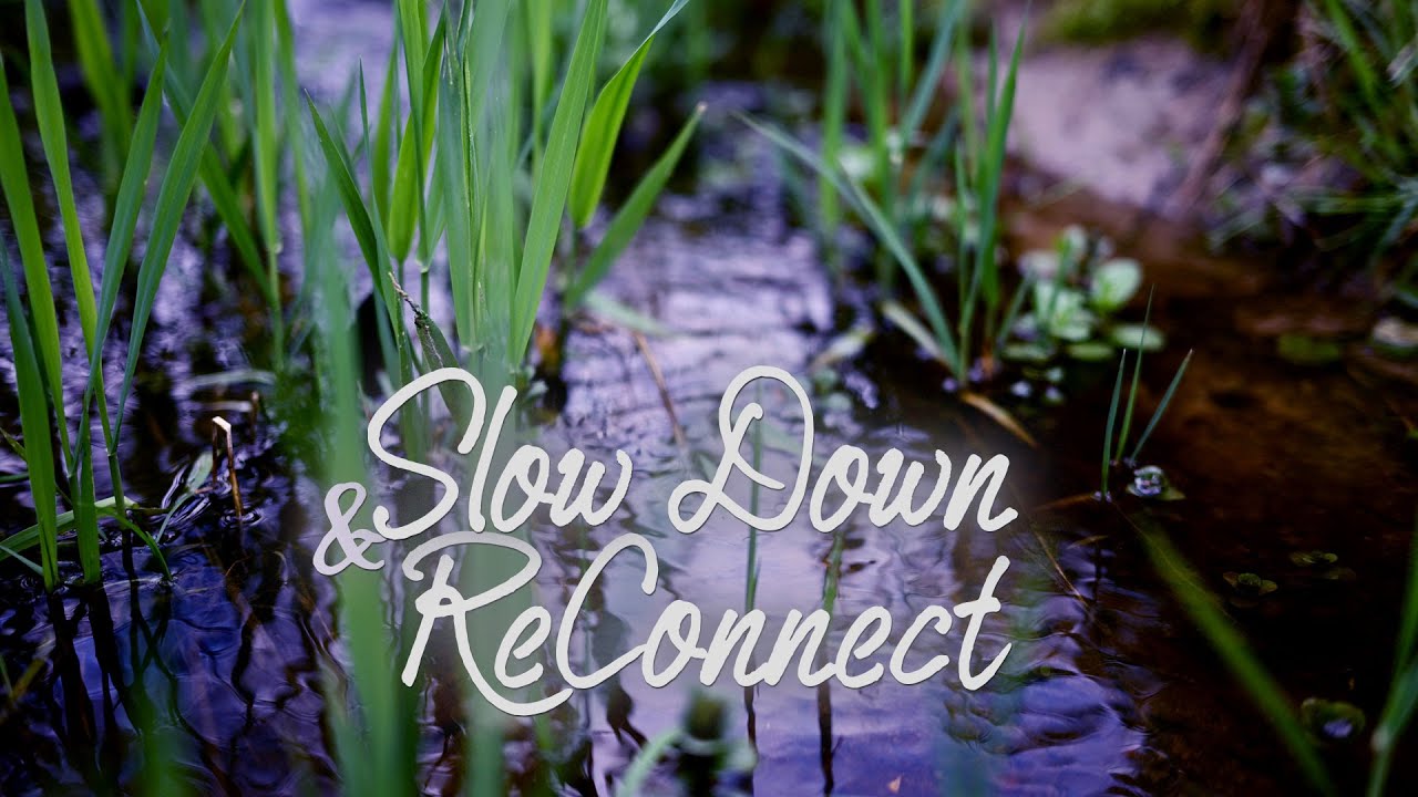 Return to Simplicity - Slow Down & ReConnect  432hz Wind Chimes Meditation