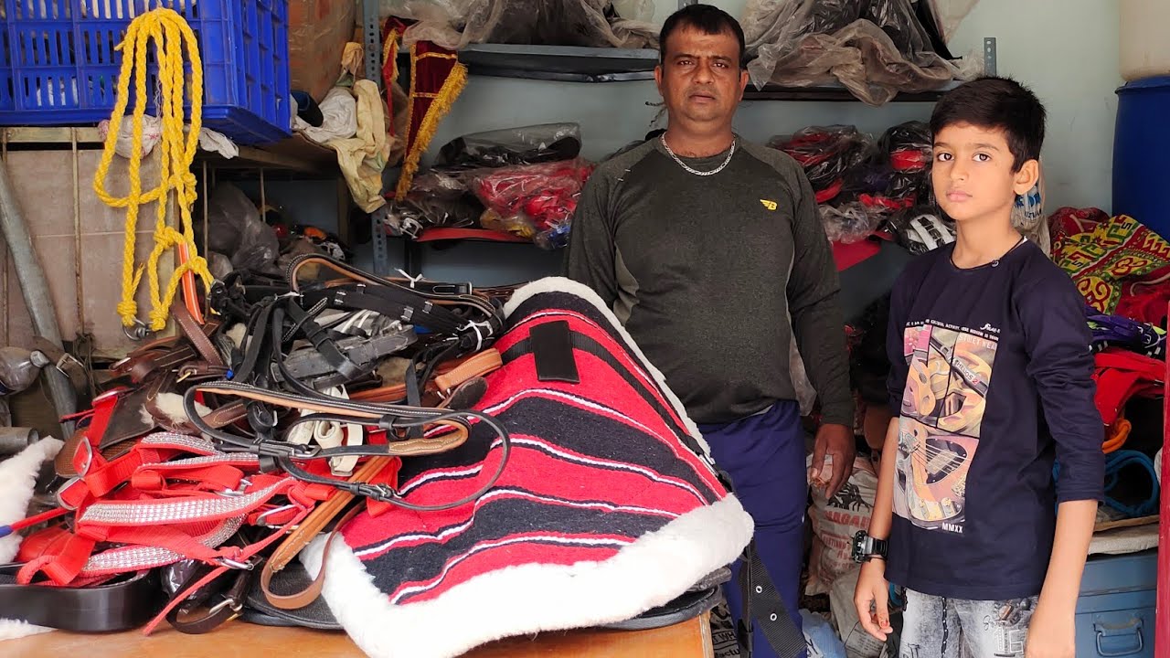 horse and baby horse accessories in Hyderabad | ghode ka saman in Hyd