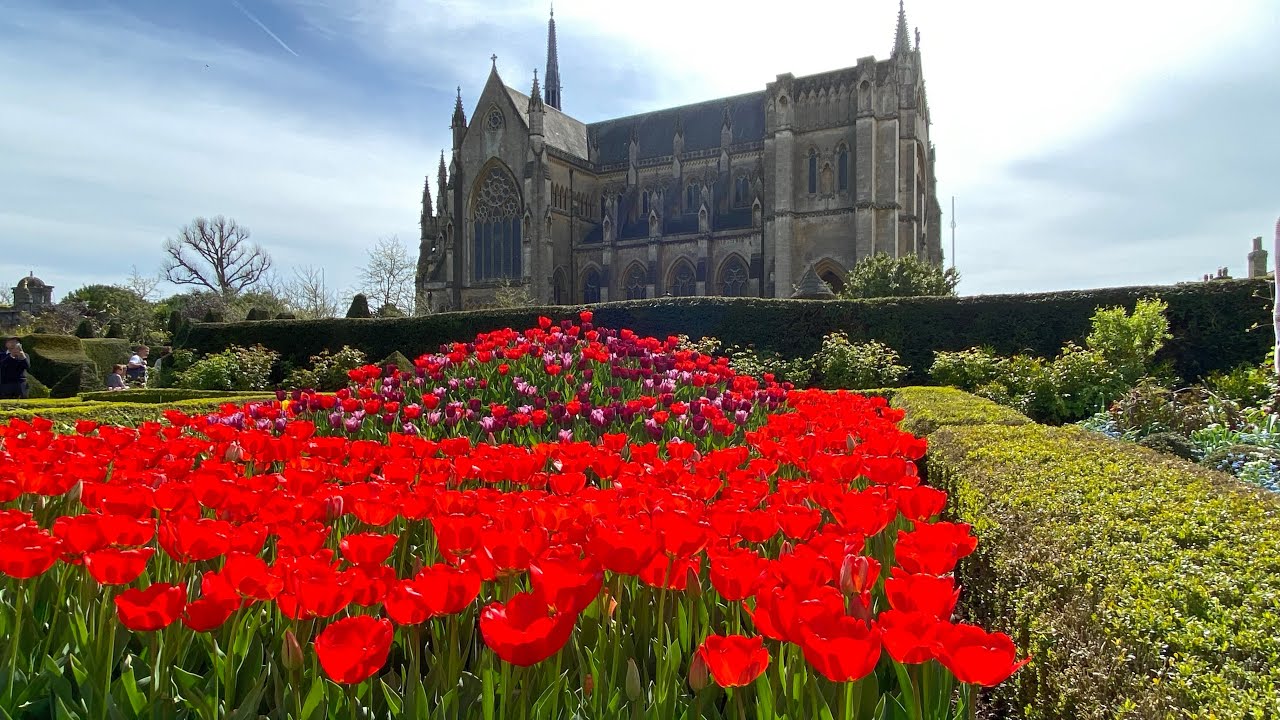 Arundel Castle Tulip Festival 2025 (12-4-25) #tulipfestival #tulipsevents #tulips #arundel