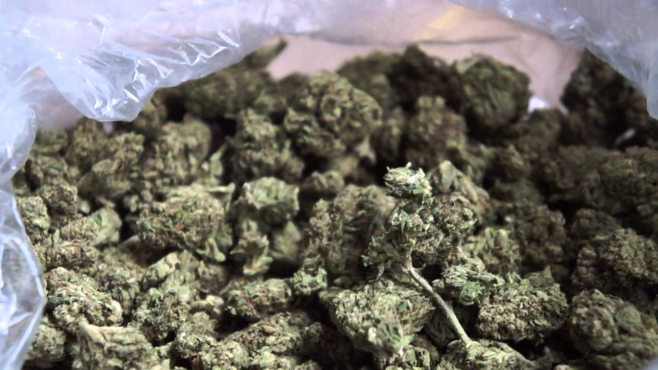 OG Kush 89
