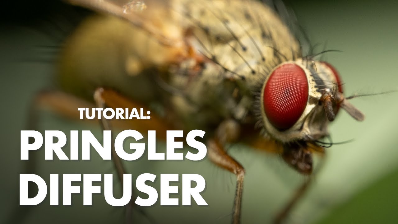 How to build a Pringles Flash Diffuser for Macro Photography