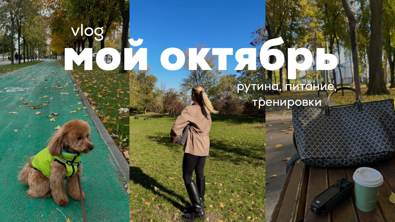 Осенние будни | налаживаю свою рутину