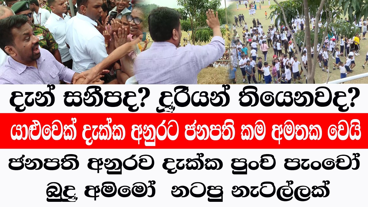 අනුරව දැක්ක පුංචි පැංචෝ නටපු නැටිල්ලක්/සනීපද? දූරියන් තියෙනවද? අනුර නමි මාරයි/@ADARATANEWS
