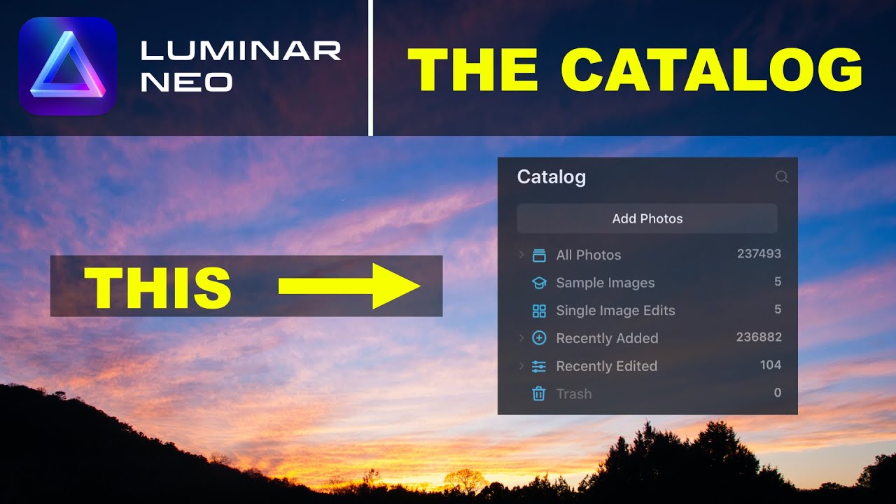 Luminar Neo: Working with the Catalog