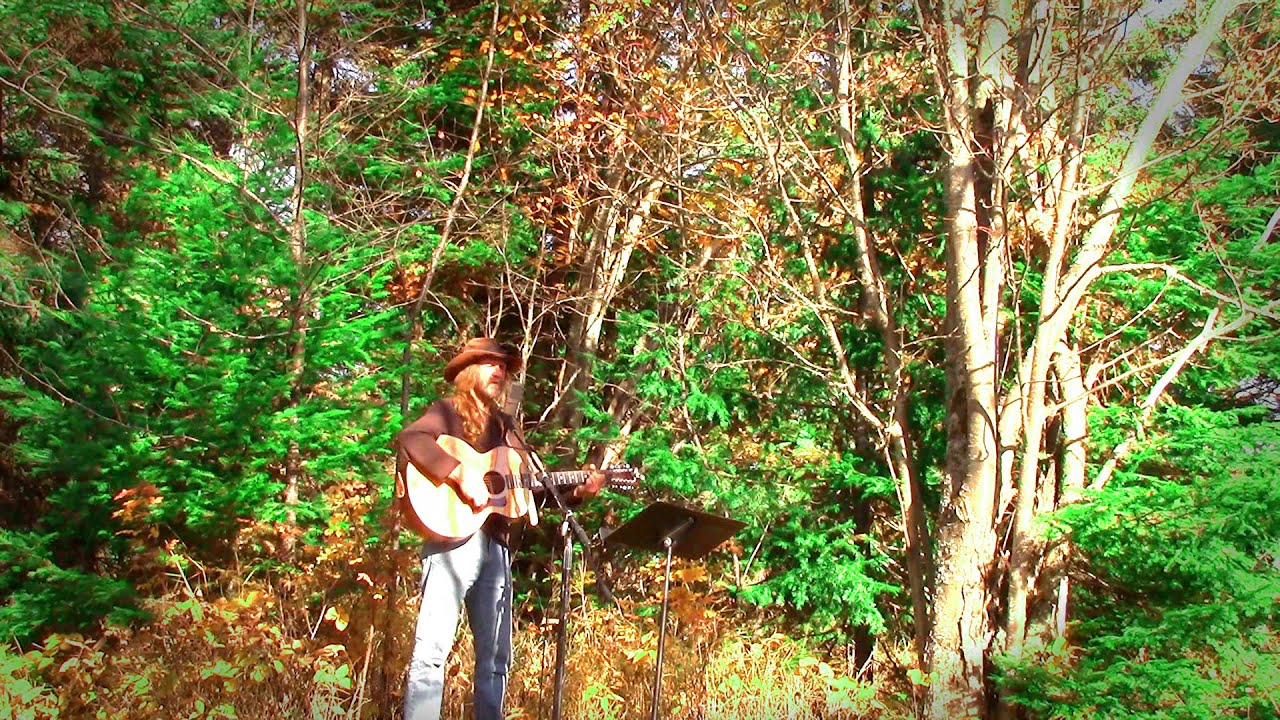 Summer Side of Life - Gordon Lightfoot cover by Joe Paulik