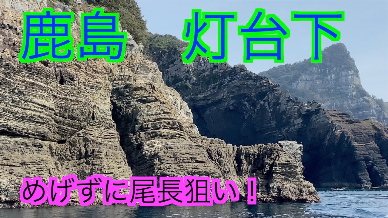 『甑』１年ぶりの鹿島灯台下で尾長チャレンジ！