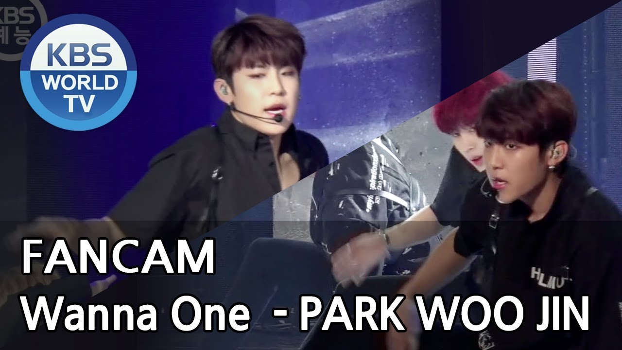 [FOCUSED] Wanna One's PARK WOO JIN - Light [Music Bank / 2018.06.08]
