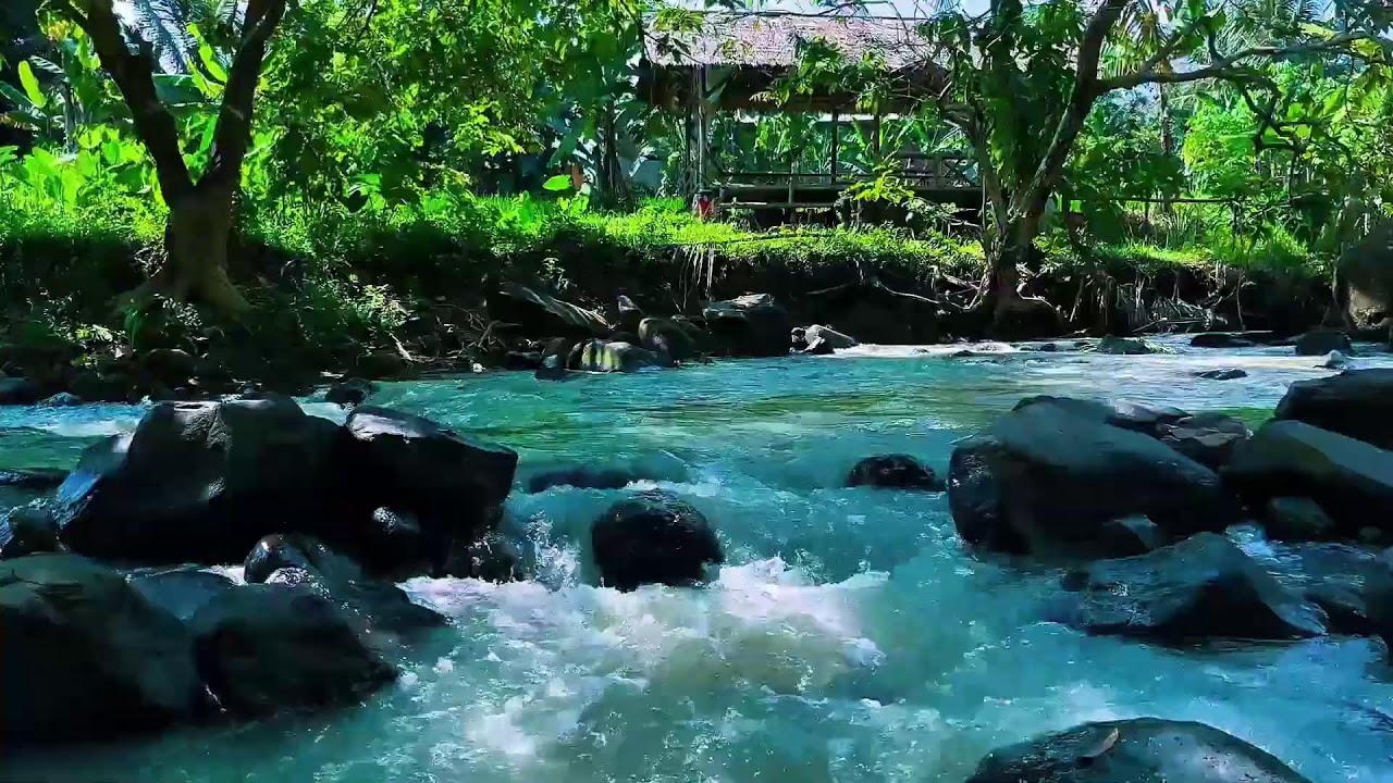Relaxing River Flow with Birds Chirping for Focus and Sleep