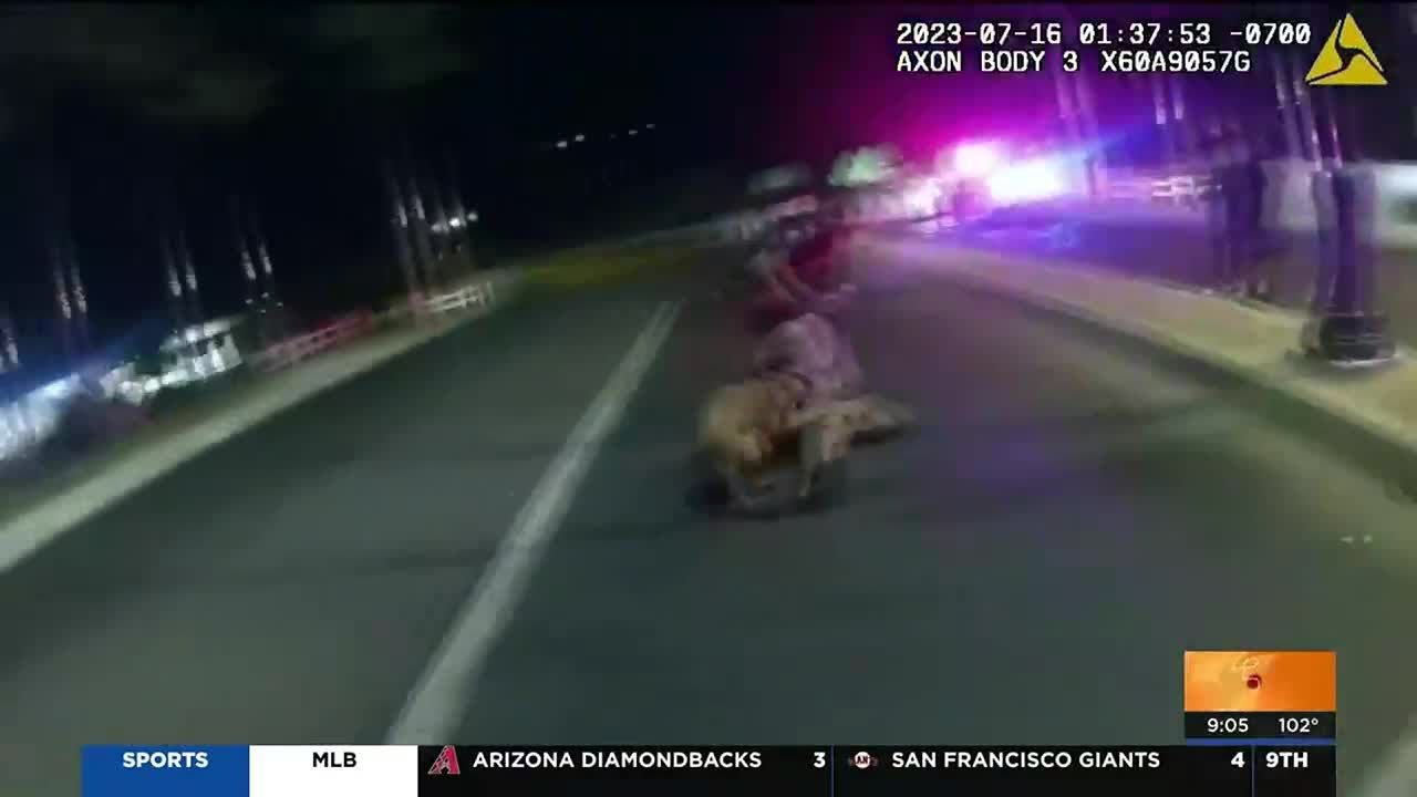 Body-cam shows Maricopa police using K-9 to take down violent suspect