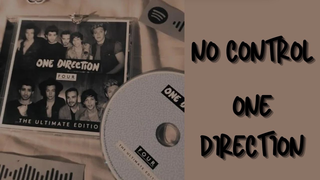 No Control - One Direction (lyrics)