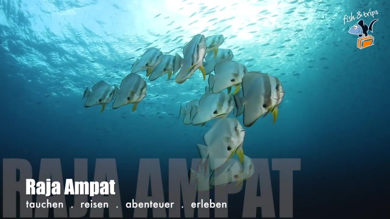 Raja Ampat