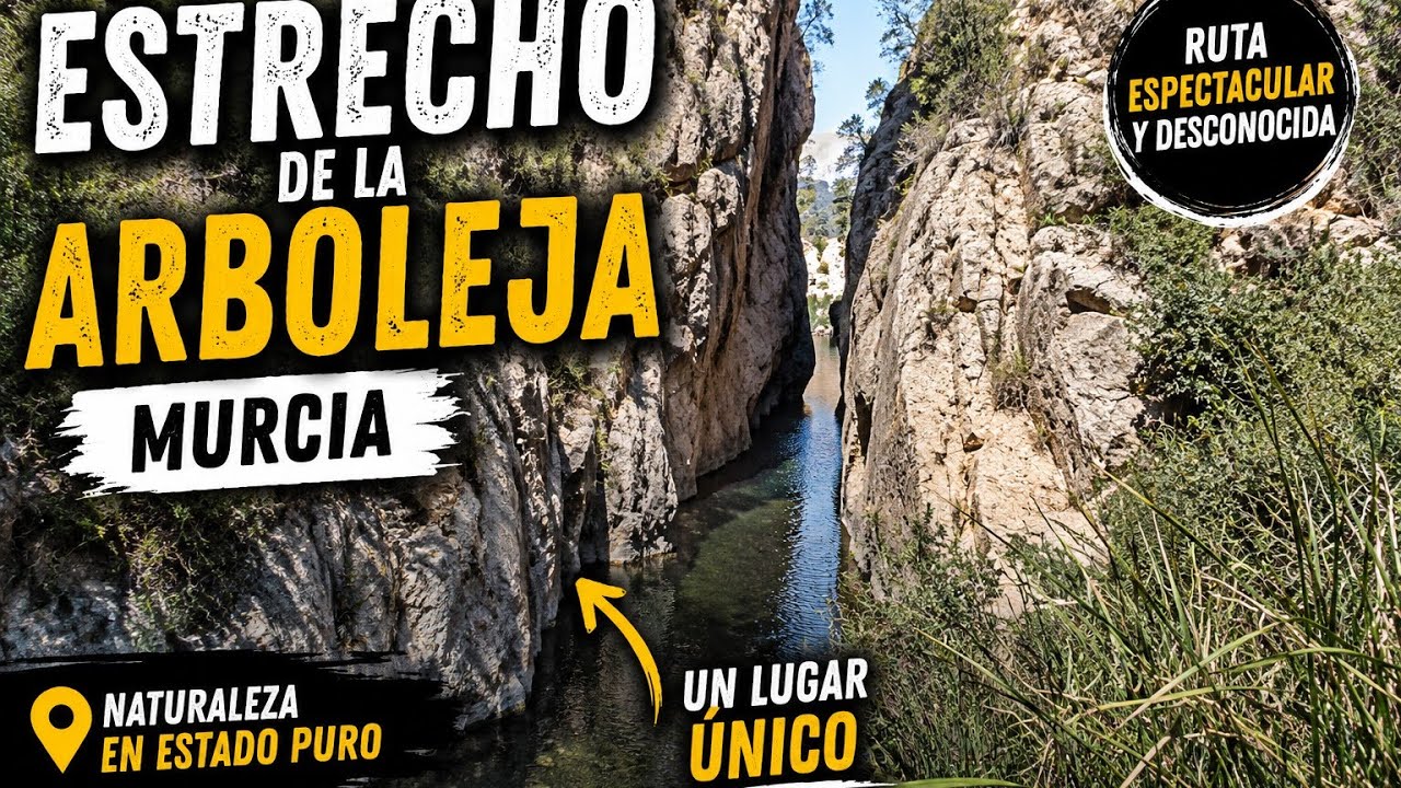 ESTRECHO DE LA ARBOLEJA (ALEDO-MURCIA)