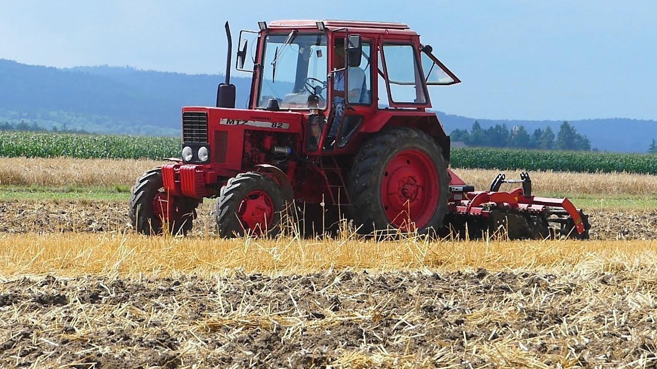 Talerzowanie ścierniska 2019 |Świętokrzyskie| MTZ 82 + Rolex Taurus 2,5m
