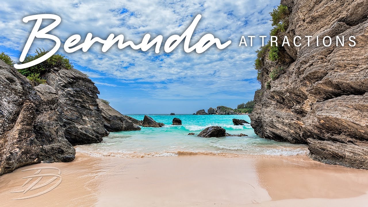 THE DAPPER DOG presents Relax on Bermuda's Beaches