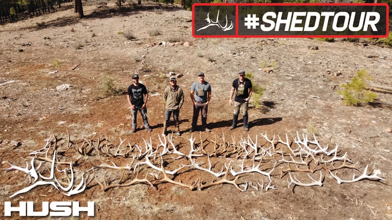 SHED TOUR | MATCHING UP A GIANT BROWN ELK SET | S4E04