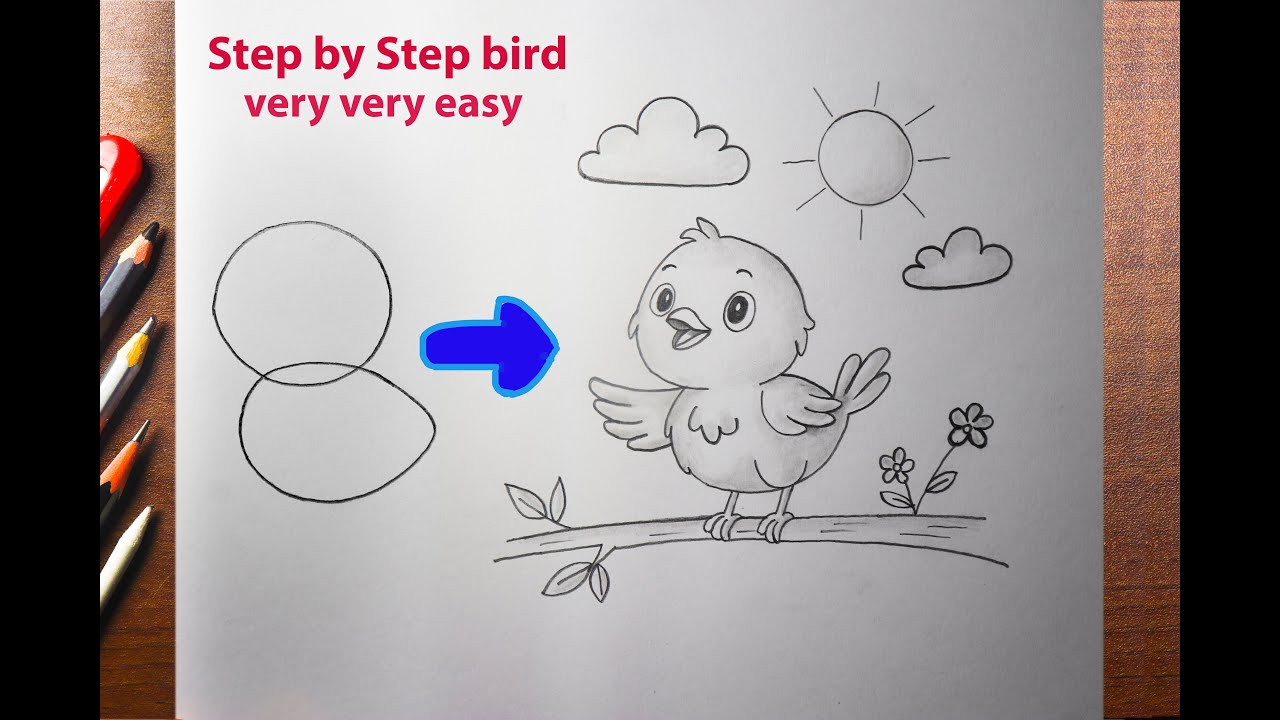 Bird Drawing Easy From Shapes Step by Step/ Easy Bird Drawing Step by Step/ Bird Drawing/ Bird Easy
