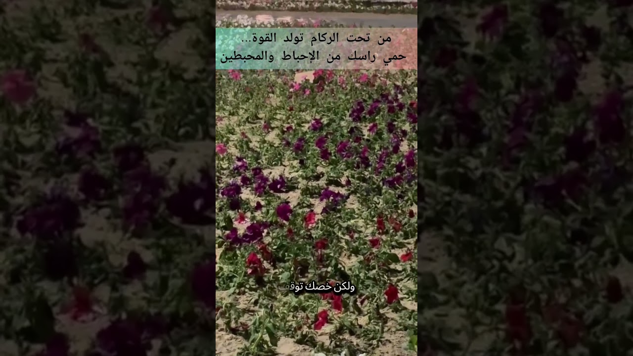 🔥 النهوض من الفشل 💔 كيف تحمي نفسك من الإحباط والمحبطين | تحفيز قوي لتطوير الذات والنجاح