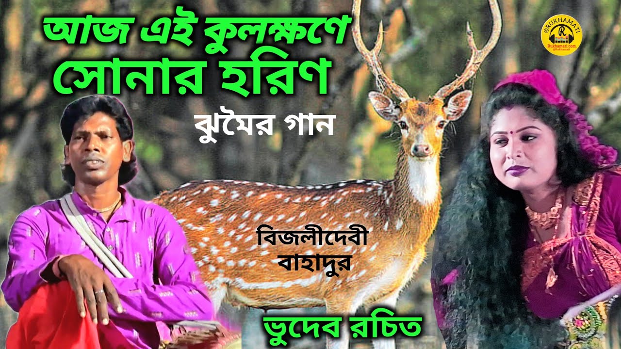 আজ এই কুলক্ষণে সোনার হরিণ ঝুমৈর গান @Bijali devi & Bahadur jhumar@ভুদেব রচিত @purulia song 