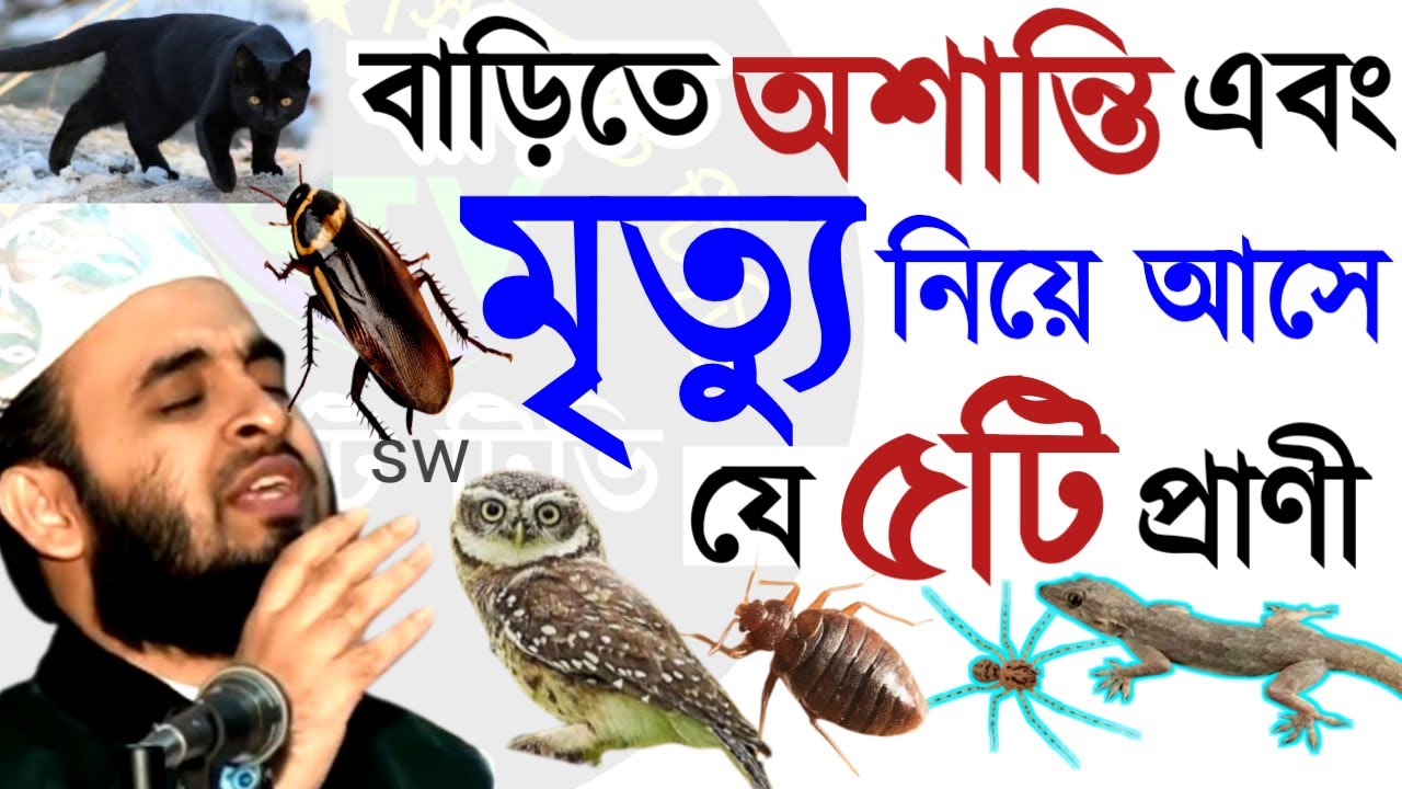 🟠সবাই সাবধান ঘরে অশান্তি এবং মৃত্যু নিয়ে আসে যে ৫ টি প্রানী 💚মিজানুর রহমান আজহারী=7 Mar 202605:05