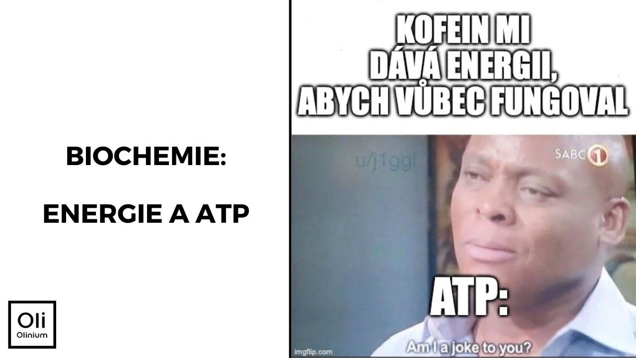 ATP a energie v biochemických reakcích