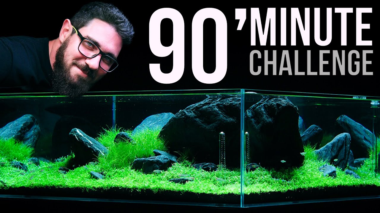 Аквариум CUBE 90 см. Собрать менее чем за 90 МИНУТ? Вызов принят!